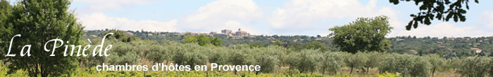 Chambres d'hotes Provence, 13, entre Aix en Provence et Salon de Provence